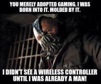 you-merely-adopted-gaming-meme